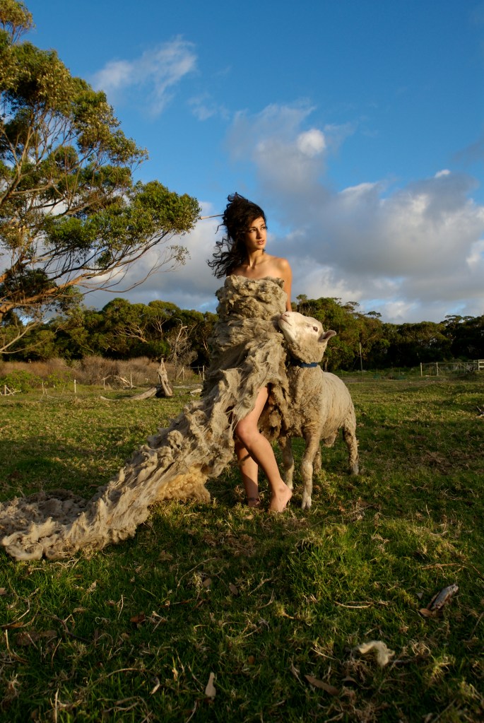 Couture Sheep LowRez Retouched